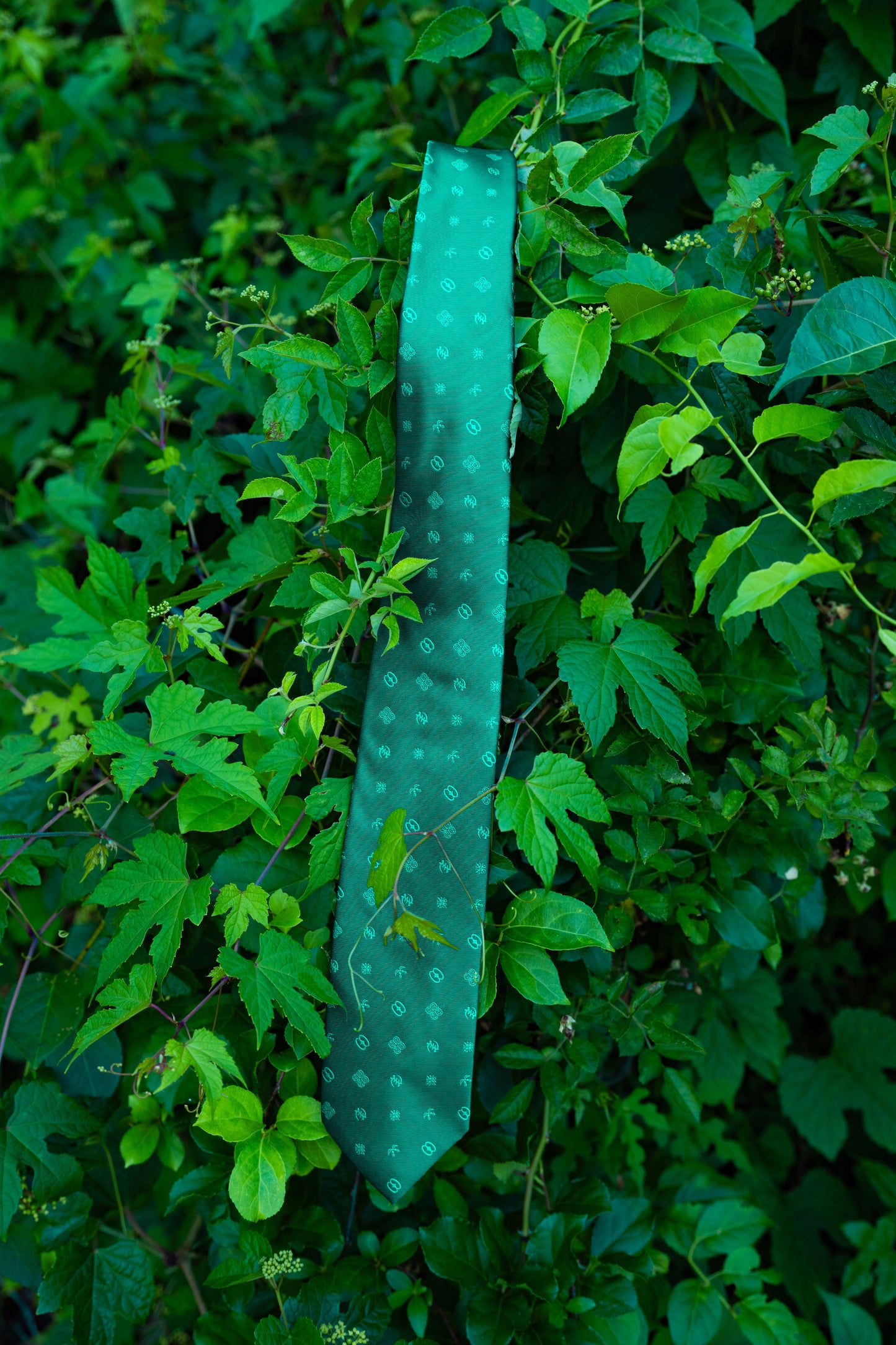 Royalty Collection - Green