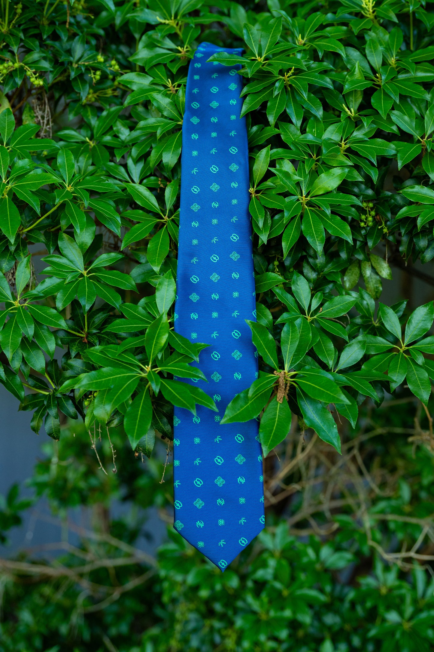 Royalty Collection - Blue